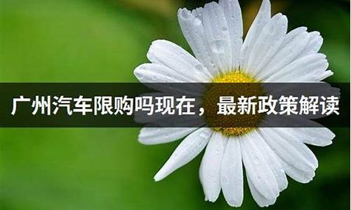 广州汽车限购政策2020最新标准_广州汽车限购规定