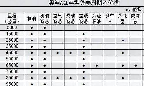 奥迪a4保养周期怎么设置_奥迪A4保养周期